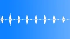 Man snore regular Sound Effect