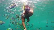 Man Snorkeling Among Fish Stock Footage