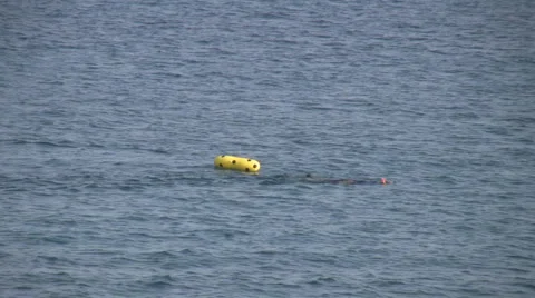 Man snorkeling Video stock 1950317