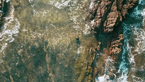 Man Snorkeling Stockbeeldmateriaal 252437200