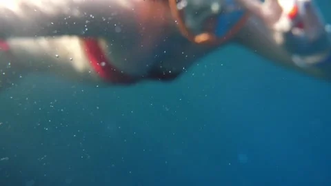 Man snorkeling underwater and exploring coral reef in Budva Montenegro Video stock 339069374