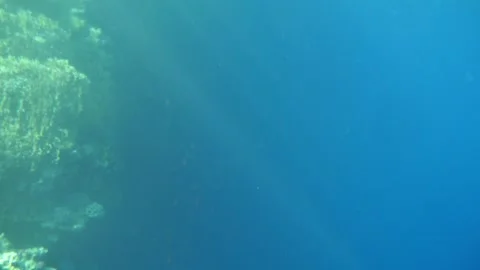 Man snorkeling underwater and exploring coral reef in Budva Montenegro Stock Footage 339069397