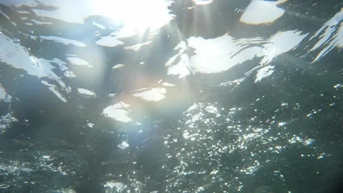 Man snorkeling underwater and exploring coral reef in Budva Montenegro Stock Footage 339069425