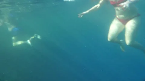 Man snorkeling underwater and exploring coral reef in Budva Montenegro Stock Footage 339069427