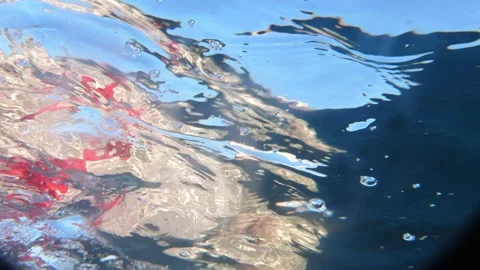 Man snorkeling underwater and exploring coral reef in Budva Montenegro Stock Footage 339069428