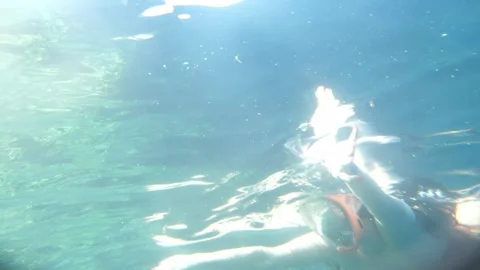 Man snorkeling underwater and exploring coral reef in Budva Montenegro Stock Footage 339069437