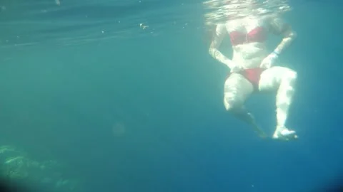 Man snorkeling underwater and exploring coral reef in Budva Montenegro Stock Footage 339069458