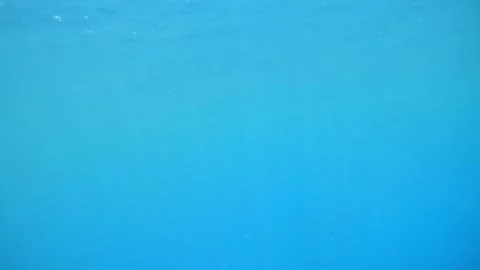 Man snorkeling underwater and exploring coral reef in Budva Montenegro Stock Footage 339069605