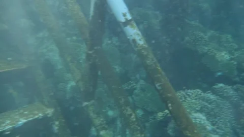 Man snorkeling underwater and exploring coral reef in Budva Montenegro Stock Footage 339069649