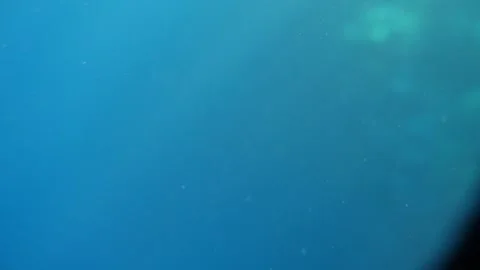 Man snorkeling underwater and exploring coral reef in Budva Montenegro Stock Footage 339069682