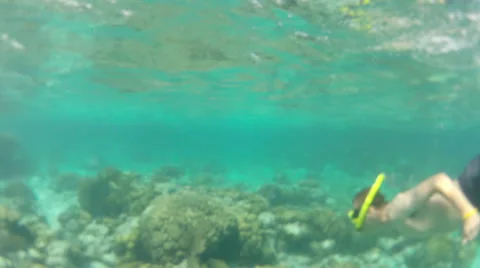 Man Snorkling in Clear Ocean Stock Footage 46031722