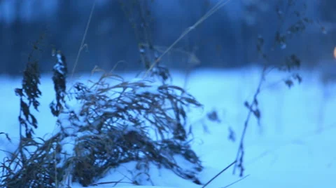 Man on a snowmobile defocus Stock Footage 52777553