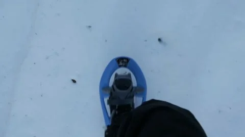Man snowshoeing in the forest Video stock 47932512