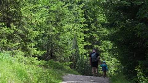 Man with son with backpacks walking in the forest. Stock Footage 290821418