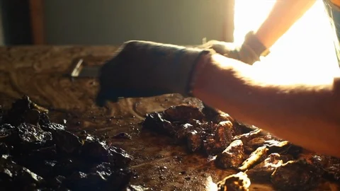 Man sorting oysters. Stock-Footage 88372415