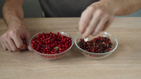 Man sorts garbage and low-quality berries from ripe red lingonberries at home. 库存影片 248371724