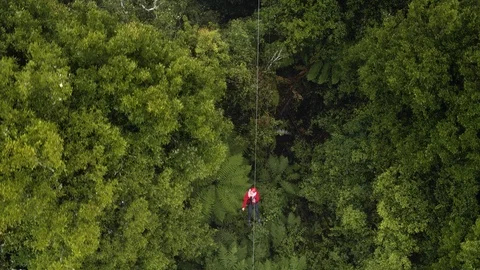 Man speeding down zip line in misty New Zealand forest Stock Footage 90270009
