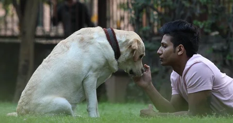 Man spending quality time with his dog in the garden. 	 Stock Footage 128750366