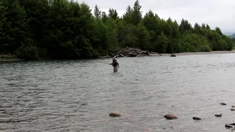 Man spey casting on the Kitimat River in British Columbia, Canada Stock Footage 147600292