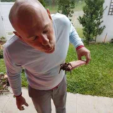 Man with spider Stock Photos