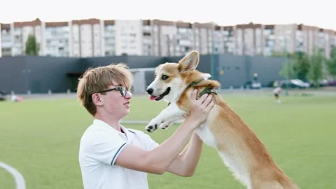 Man spinning with his corgi in the park, showing joy and playfulness. Stock Footage 344744867