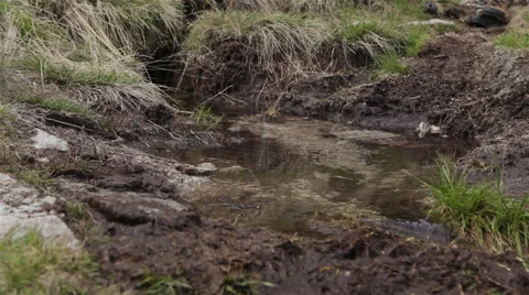 Man splashing in puddle while hiking Stock Footage 54680520