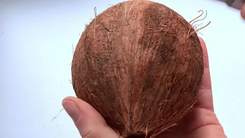 Man splits coconut shell with knife 스톡 동영상 148502904