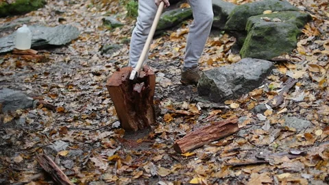 Man splitting a tree trunk for kindling and fire wood Stock Footage 153522676