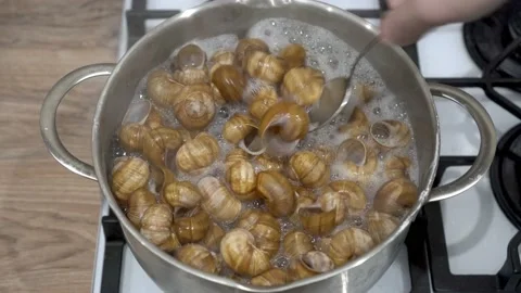 A man with a spoon mixes empty shells from garden snails in a saucepan, which Video stock 163519756