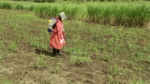 Man spraying crops Stock Footage 11395428