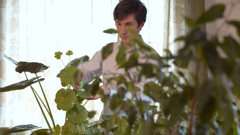 Man spraying houseplants Stock Footage 128892302