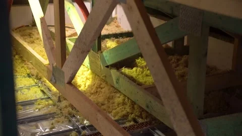 Man sprays insulation material in attic floor during home renovation Vidéo 312325163