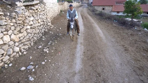 Man Spurring, Riding Donkey Stock Footage 97088273