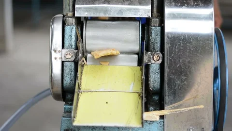 Man is squeezing juice from sugar cane Stock Footage 100757334