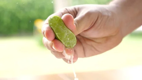 Man squeezing lemon in a backyard in Slow motion Stock Footage 85861210