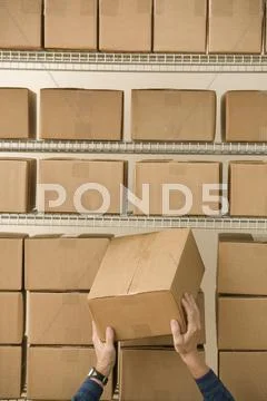Man stacking cardboard boxes Stock Photos