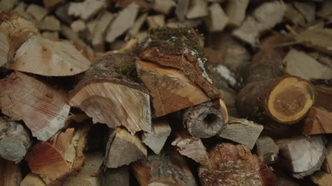 A man stacking chopped wood Stock Footage 265086730