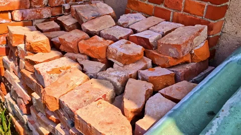 Man stacking Red Bricks Beside Brick Wall in Sunny Backyard Stock Footage 314355041