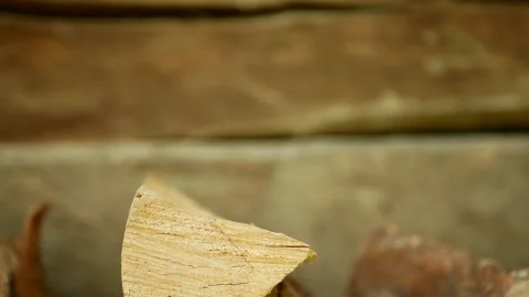 Man stacks the logs in a row Stock Footage 160819507
