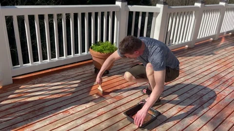 Man staining home cedar deck Stock Footage 152431478