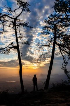The man stand between two tree with sunrise background Foto stock