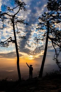 The man stand between two tree and he is point to horizon with sunrise backgr Stock Photos