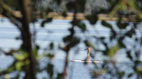 Man Stand Up Paddling On SUP Board Through Trees, Lake, River HD Stock Footage 67449456