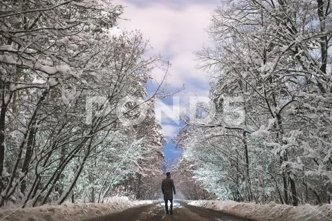 The man stand on a snowy road in the forest Stock Photos