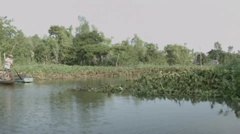 A man standing and rowing in boat down the banks of the Mekong river in Vietnam. Stock Footage 48165941