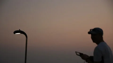 Man standing and using smart phone against street lamp with bird flying Stock Footage 54317009