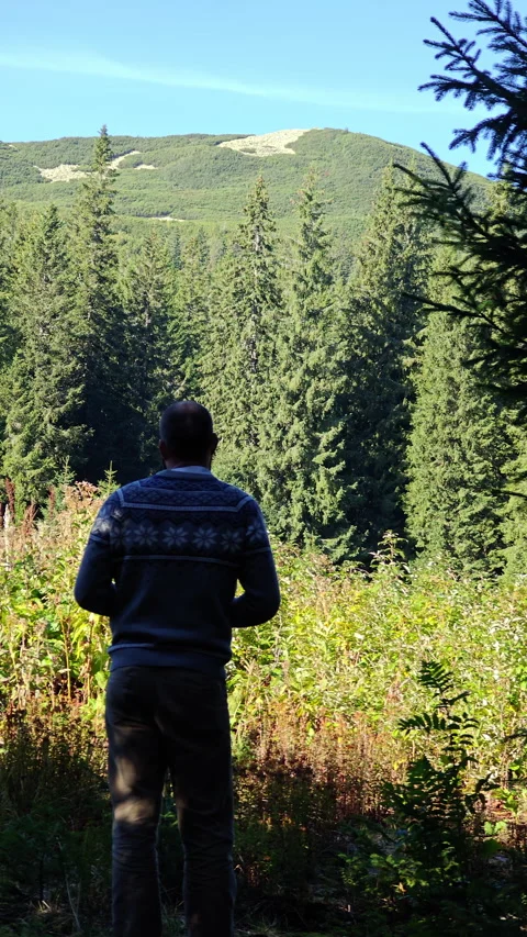 Man Standing with Back to Camera Looking at Sunny Mountain Peak Stock Footage 345064787