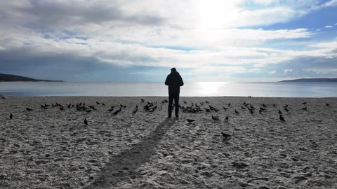 Man Standing on Beach with Pigeons at Sunset, Buyukcekmece Istanbul Stock Footage 324895161
