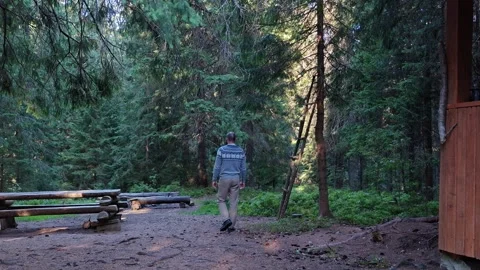 Man Standing in Coniferous Forest Clearing Near Wooden Mountain Cabin Stock Footage 344893742