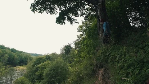 Man standing at edge of mount clinging to trunk of tree looking at landscape Video stock 80054331
